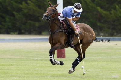 Brittany Polo Club (Extraits Tournois 6-8 Goal – 2018)