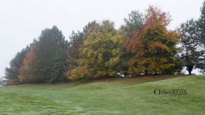 Golf d’Ableiges en automne