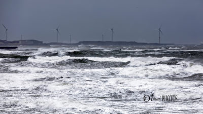 La Tempête Ciara ; toujours  dans le Boulonnais le 10 févier 2020