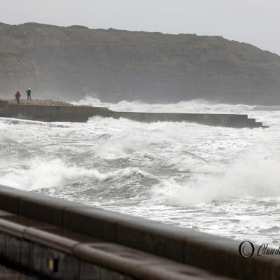 REPORTAGE