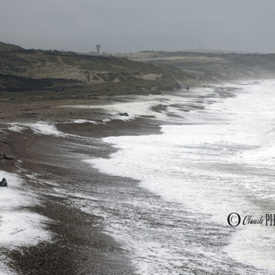 REPORTAGE