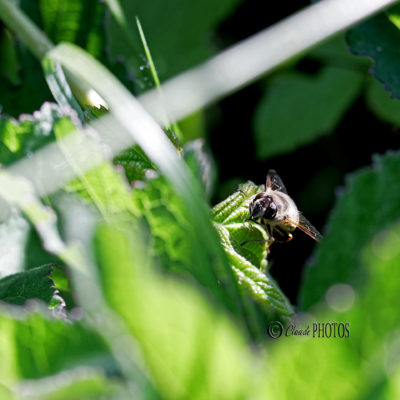 REPORTAGE