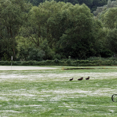 REPORTAGE