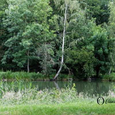 REPORTAGE