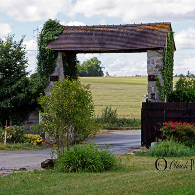 REPORTAGE