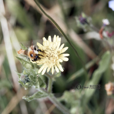 REPORTAGE