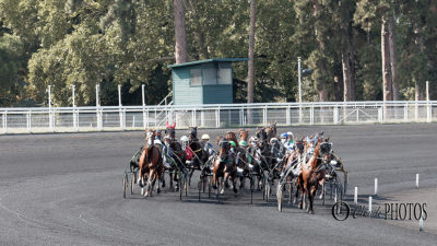 COURSES de TROT à VINCENNES (octobre 2020)